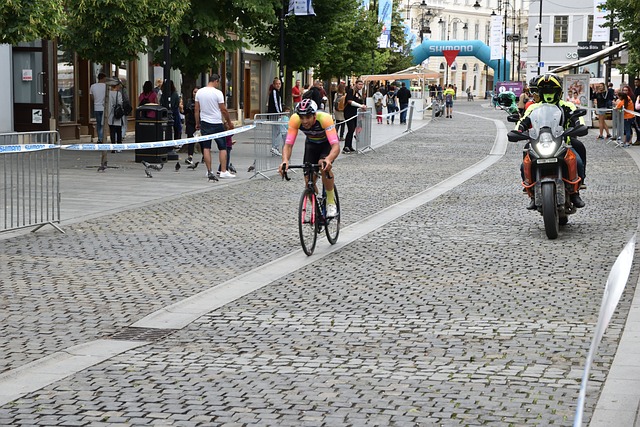 教师团队的 教师团队的