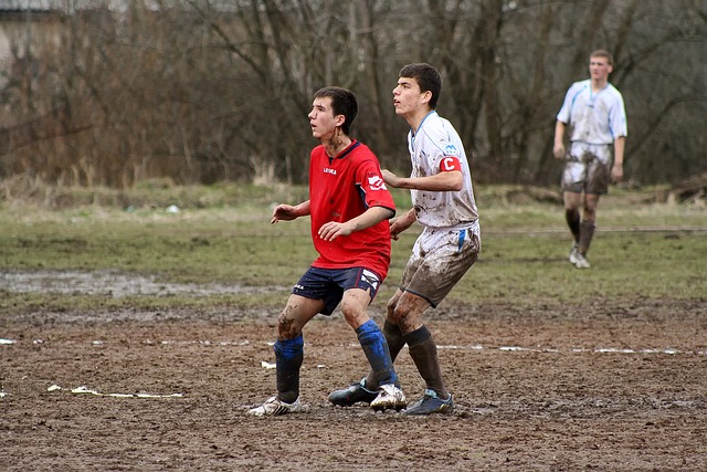 这些便捷的 这些便捷的