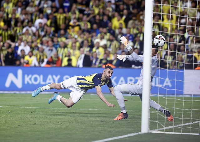 中国在多个 中国在多个