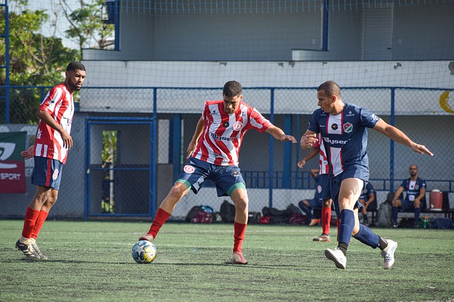 化发展的见 化发展的见