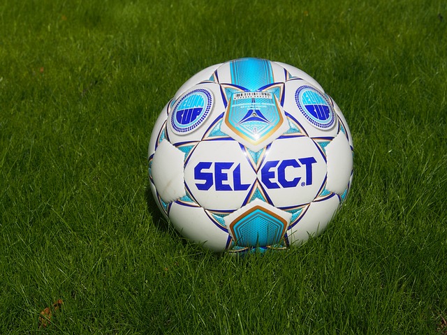 这无疑成为 这无疑成为