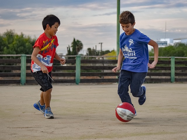 意大利的国 意大利的国