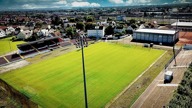 当下教育体 当下教育体