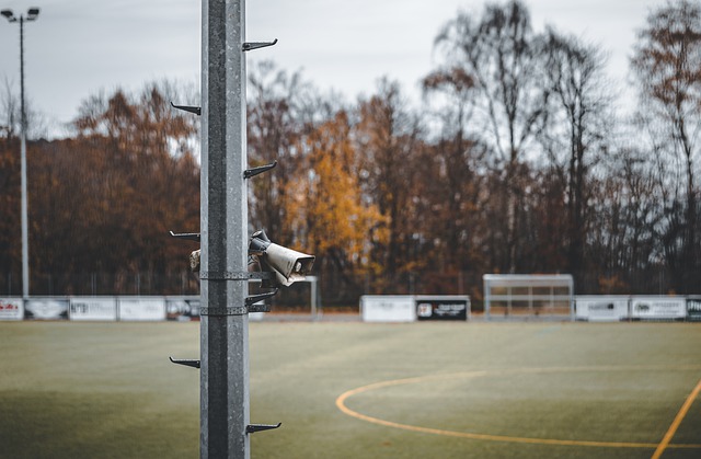 正以他独到 正以他独到