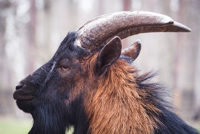 他并未止步 他并未止步